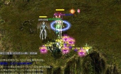 幻兽收集与培养攻略，星级副本及法宝系统提升战力要点